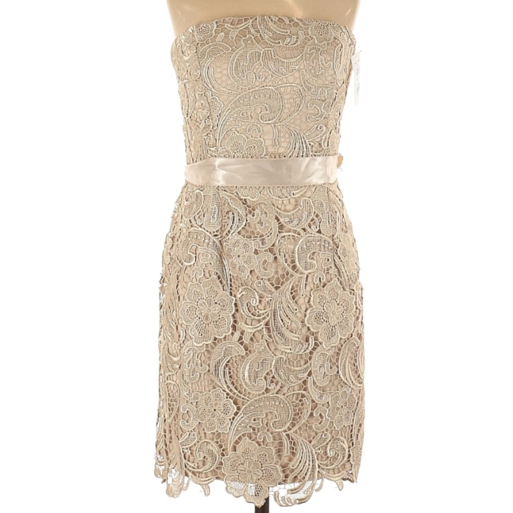 Adrianna Papell Champagne coloured Lace Sheath Dress NWOT